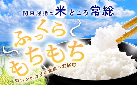 【令和7年産】【無洗米】コシヒカリ2kg 茨城県常総市産 精米｜米 お米 白米 ご飯 コメ こめ こしひかり