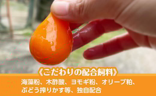 【定期便】7回定期 【天王原のたまご】 サクセス卵 50個入り 【定期便 7回定期便 セット たまご 卵 玉子 タマゴ 濃厚 ハリ 弾力 ボリューム 甘味 旨味 卵黄 風味 生 コク 甘味 卵かけご飯 卵焼き 目玉焼き オムレツ 茶碗蒸し お菓子作り パンの材料】