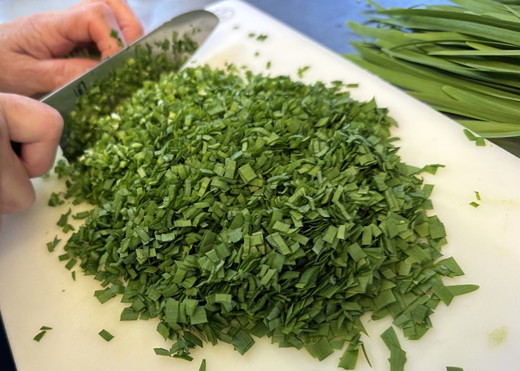 餃子専門店青春餃子　豊岡餃子10個入り×3パック 30個