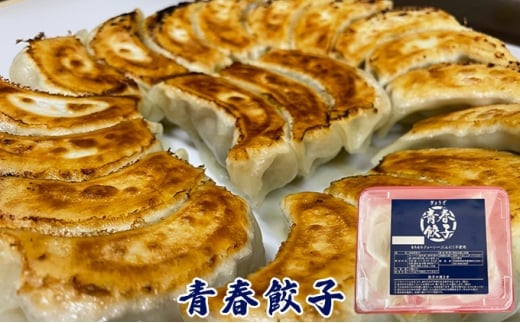 【定期便6ヶ月】餃子専門店青春餃子 餃子食べ比べセット 3種40個（青春餃子15個、豊岡餃子10個、大葉三太郎餃子15個）（計240個）