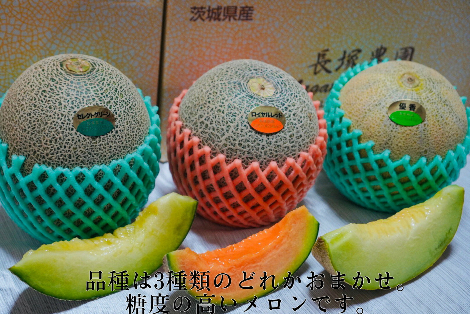 【先行予約】数量限定 令和7年 訳あり プレミアム伸成かぼちゃ・メロン（品種おまかせ） ※2025年7月中旬～7月下旬頃に順次発送予定 ※沖縄・離島への配送不可