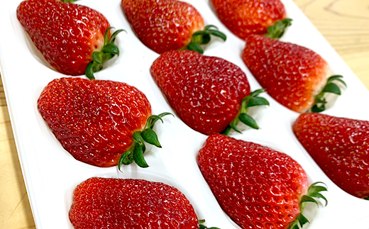 【1月中旬～4月上旬発送】やよいひめ いちご 朝摘み 完熟 大粒 ギフト化粧箱 15粒or12粒 茨城県常総市産 | 苺 イチゴ ※2026年1月中旬～4月上旬頃に順次発送予定