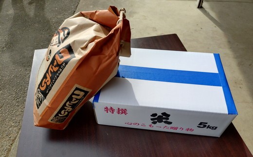 令和7年産 精米 コシヒカリ 5kg 茨城県常総市産