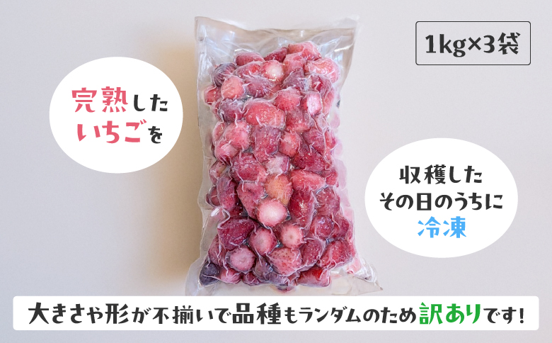 【訳あり】冷凍いちご　3kg (1kg×3袋)