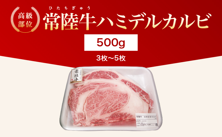 【茨城県共通返礼品】茨城県産 ハミデルカルビ500g | カルビ かるび カブリ 部位 ゲタ 中落カルビ リブ芯 リブ巻き 希少部位 高級部位 リブロース 牛肉 牛 大きい とろける 甘み はみでる 食卓 バーベキュー BBQ パーティー】