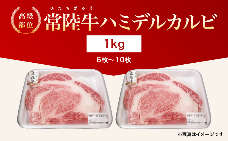 【茨城県共通返礼品】茨城県産 ハミデルカルビ1㎏ ｜ カルビ かるび カブリ 部位 ゲタ 中落カルビ リブ芯 リブ巻き 希少部位 高級部位 リブロース 牛肉 牛 大きい とろける 甘み はみでる 食卓 バーベキュー BBQ パーティー】