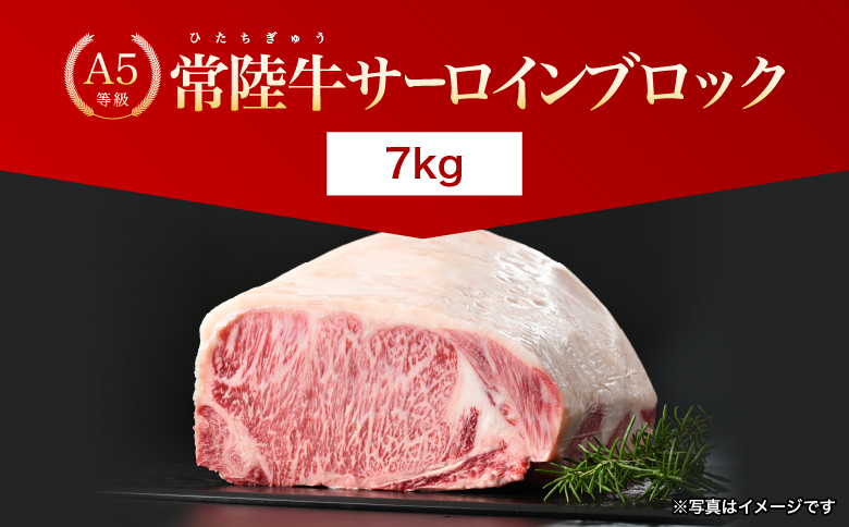 【茨城県共通返礼品】茨城県産 常陸牛A5サーロインブロック7kg ｜ 牛肉 肉 A5 サーロイン さーろいん ブロック 霜降り ステーキ すてーき 焼肉 バーベキュー 牛 柔らかい お祝い ジューシー 茨城県