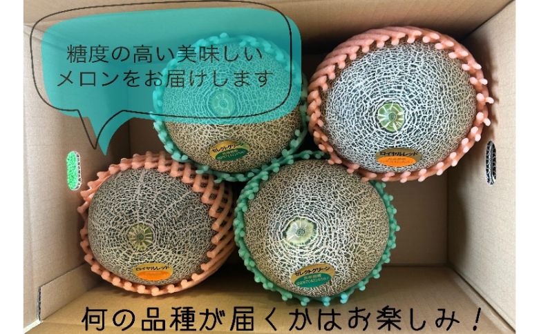 【先行予約】令和7年 おまかせメロン（品種：タカミメロン・ホノカメロン・優香メロン） 2～5玉（約5kg）｜ 数量限定 セレクトグリーン ロイヤルレッドメロン ジューシー 香り フルーツ 果物 ※2025年6月中旬頃より順次発送予定 ※沖縄・離島への配送不可