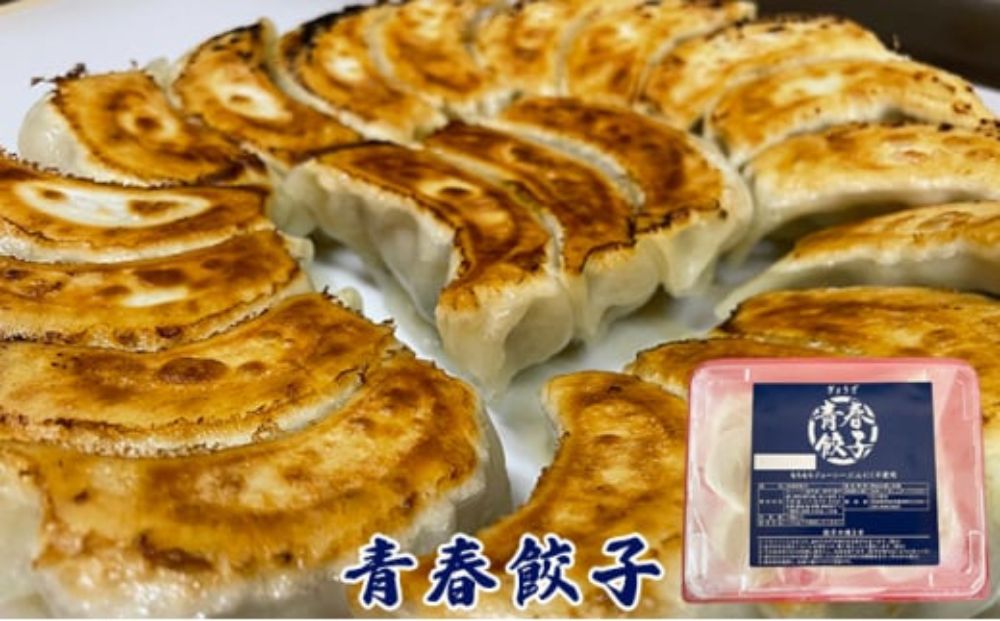 餃子専門店青春餃子　餃子食べ比べセット