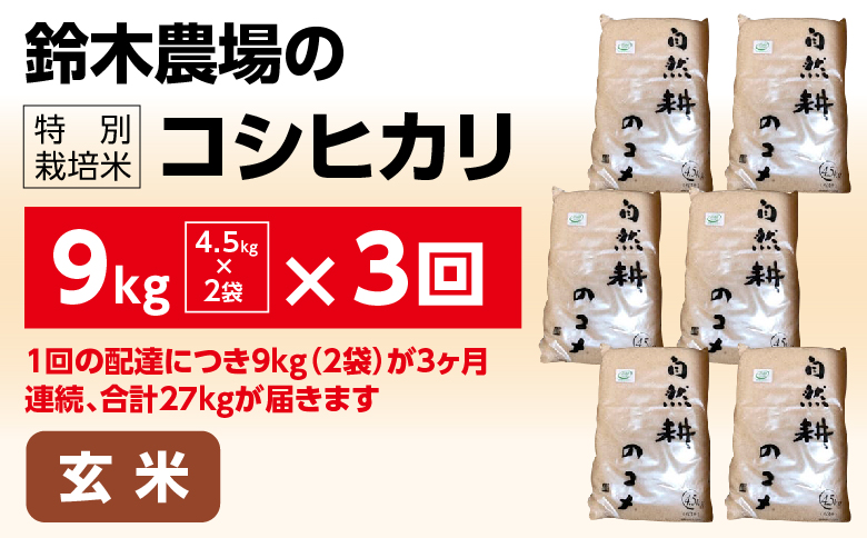 【定期便】3ヶ月お届け 令和六年産特別栽培米コシヒカリ9kg 玄米