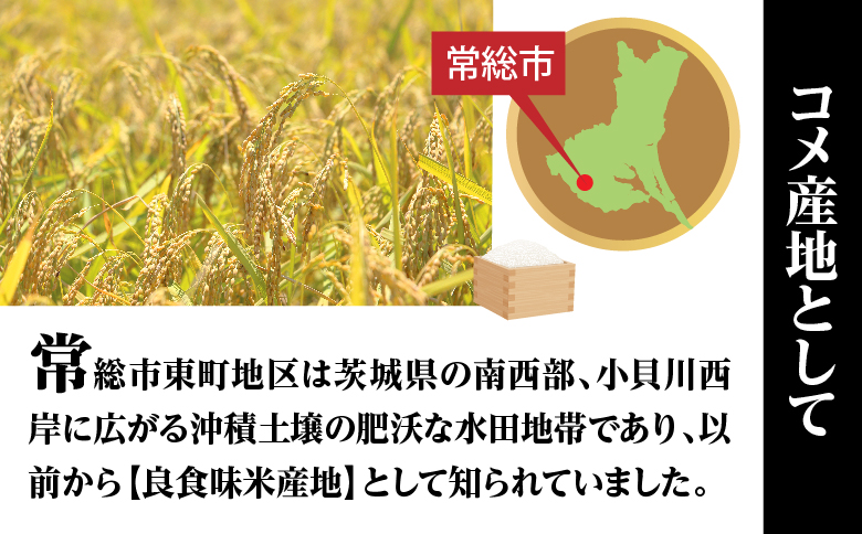 令和7年産特別栽培米 コシヒカリ 10kg お米 コシヒカリ ※2025年9月中旬頃より順次発送予定