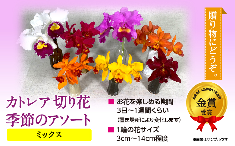 季節のアソート　スタンダードコース