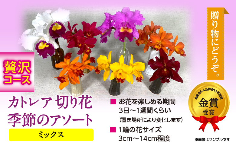 季節のアソート　贅沢コース