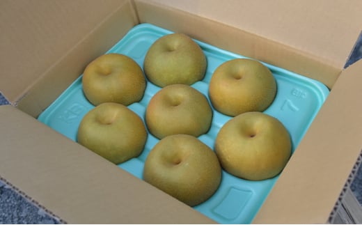 【先行予約】小林果樹園の梨 食べ比べ5～8玉 約3kg | 梨 なし 和梨 豊水 新高 あきづき 愛宕 にっこり 新雪 王秋 新興 果物 フルーツ くだもの 食べ比べ 新鮮 朝どり エコファーマー 茨城県 常総市