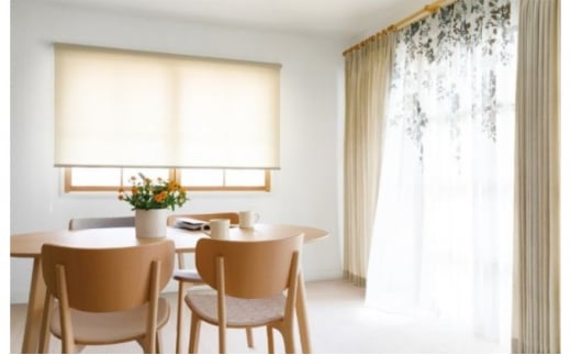 TOSOロールスクリーン ルノプレーン【幅600～1200×高さ1210～2400】to03002