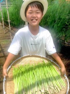 【4月発送分】千姫アスパラガス 丁寧にすべてを手作業で丹精を込めて作りあげた 自信のアスパラガス ※2025年4月上旬～4月下旬頃に順次発送予定 ※沖縄・離島への配送不可