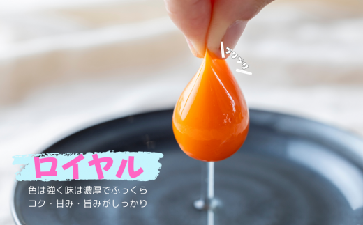 【定期便】5回定期 【天王原のたまご】 ロイヤル卵 30個入り 定期便 たまご 卵