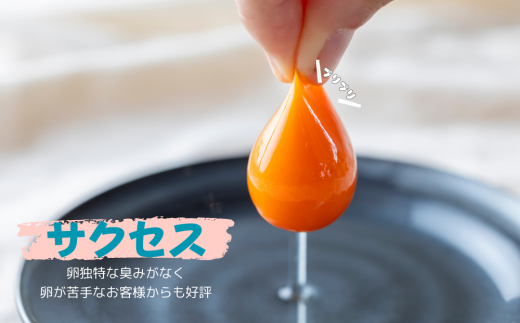 【定期便】 8回定期【天王原のたまご】 サクセス卵 30個入り 定期便 たまご 卵