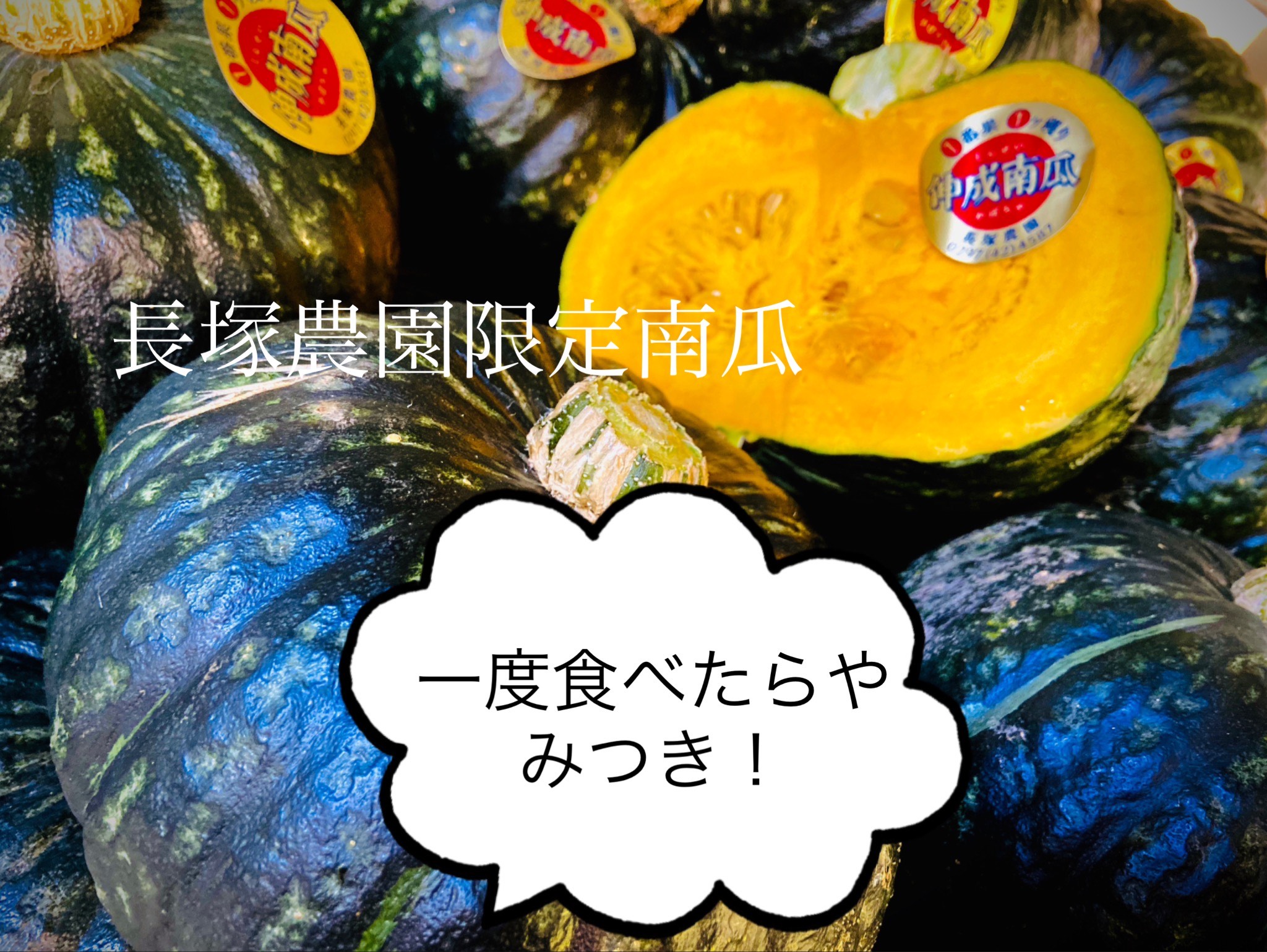 【先行予約】数量限定 令和7年 訳あり プレミアム伸成かぼちゃ・メロン（品種おまかせ） ※2025年7月中旬～7月下旬頃に順次発送予定 ※沖縄・離島への配送不可