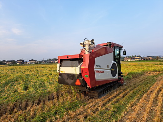 令和7年産 コシヒカリ5kg 玄米 常総市産