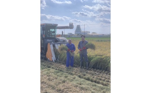 令和7年産 精米 コシヒカリ 5kg 茨城県常総市産