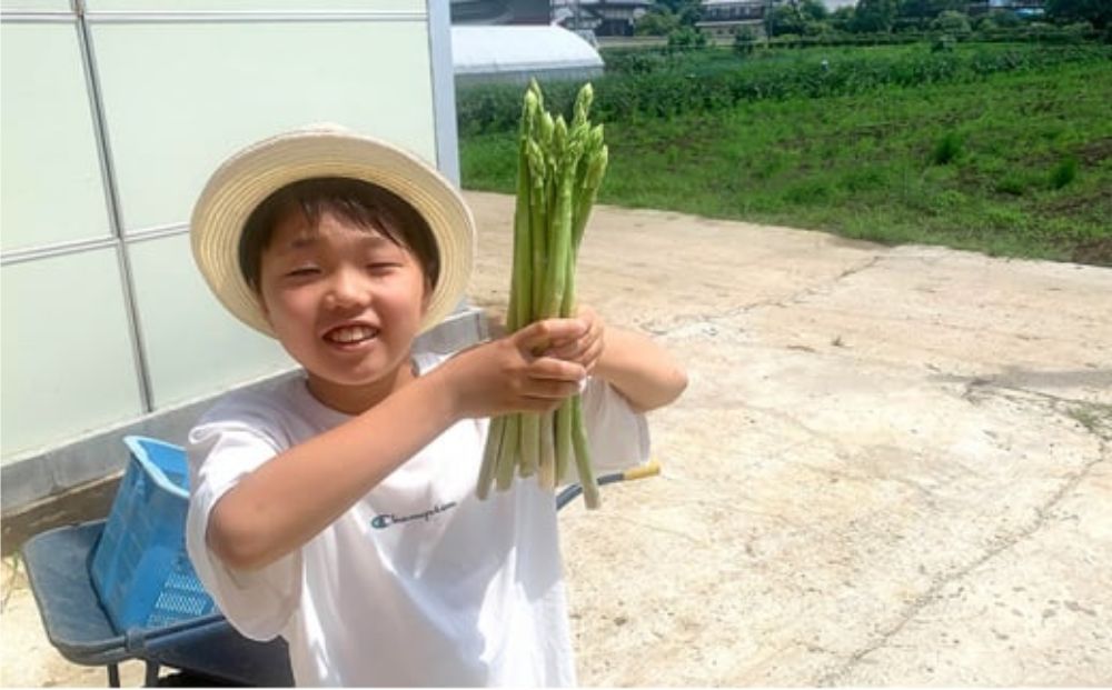 【7月発送分】千姫アスパラガス 丁寧にすべてを手作業で丹精を込めて作りあげた 自信のアスパラガス ※2025年7月上旬～7月下旬頃に順次発送予定 ※沖縄・離島への配送不可