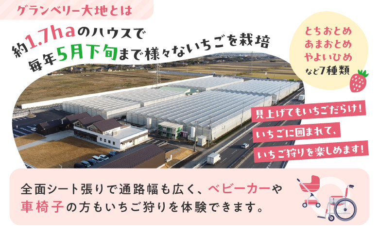 【訳あり】冷凍いちご　2kg