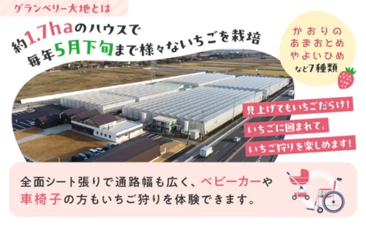 【訳あり】冷凍いちご　3kg (1kg×3袋)