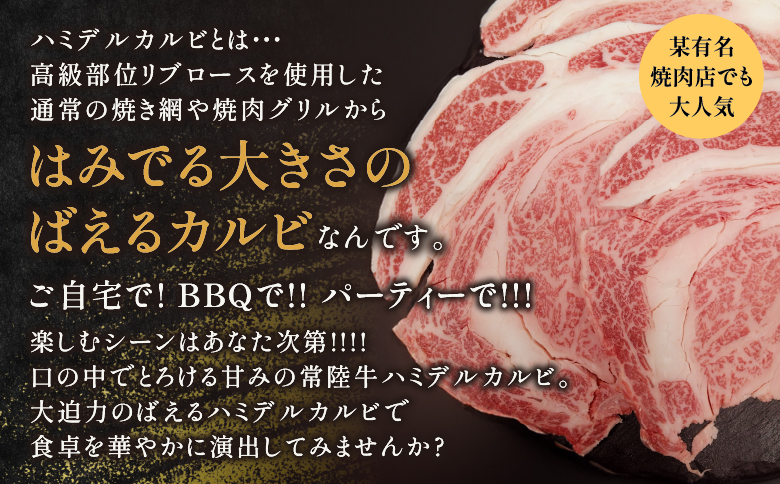【茨城県共通返礼品】茨城県産 ハミデルカルビ300g | カルビ かるび カブリ 部位 ゲタ 中落カルビ リブ芯 リブ巻き 希少部位 高級部位 リブロース 牛肉 牛 大きい とろける 甘み はみでる 食卓 バーベキュー BBQ パーティー