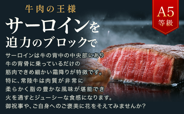 【茨城県共通返礼品】茨城県産 常陸牛A5サーロインブロック8kg ｜ 牛肉 肉 A5 サーロイン さーろいん ブロック 霜降り ステーキ すてーき 焼肉 バーベキュー 牛 柔らかい お祝い ジューシー 茨城県