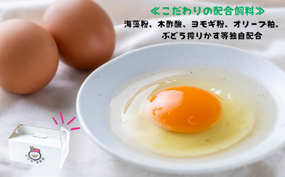 【定期便】12回定期【天王原のたまご】サクセス卵 30個入り