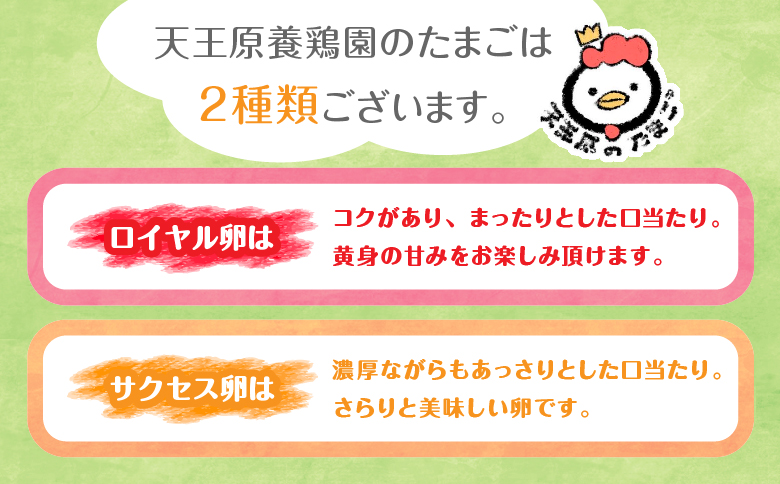 【定期便】３回定期 【天王原のたまご】 サクセス卵30個/ロイヤル卵30個