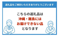 【先行予約】 令和7年 姫甘泉 ブラック 小玉すいか 2玉 ｜ スイカ こだま 常総市 ※2025年8月上旬～9月上旬頃に順次発送予定 ※沖縄・離島への配送不可
