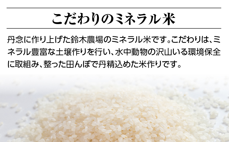 【定期便】3ヶ月連続お届け　令和六年産特別栽培米コシヒカリ4.5kg 玄米