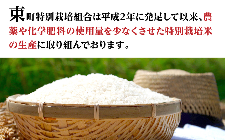 令和7年産特別栽培米 コシヒカリ 5kg お米 コシヒカリ ※2025年9月中旬頃より順次発送予定