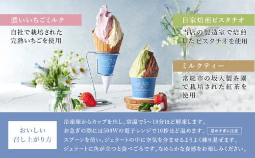 SENDA BANDA ジェラート詰め合わせ＜120ml×6個＞