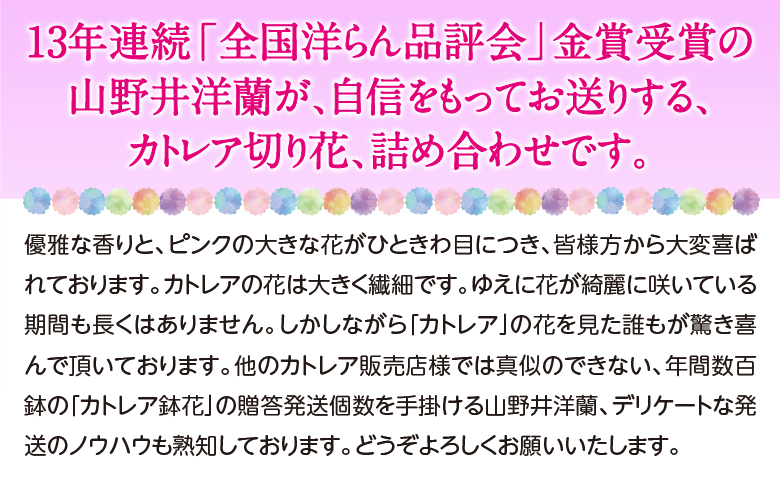 季節のアソート　スタンダードコース