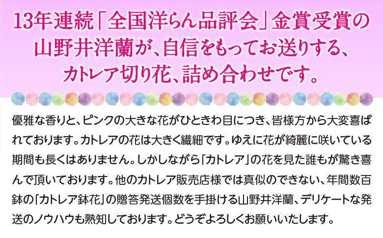 季節のアソート　贅沢コース