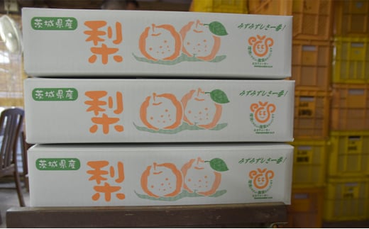 【先行予約】小林果樹園の梨 食べ比べ5～8玉 約3kg | 梨 なし 和梨 豊水 新高 あきづき 愛宕 にっこり 新雪 王秋 新興 果物 フルーツ くだもの 食べ比べ 新鮮 朝どり エコファーマー 茨城県 常総市