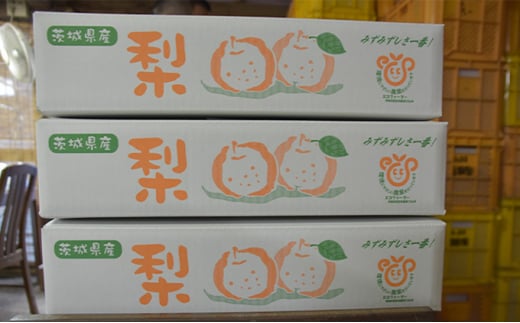 【訳アリ！先行予約】小林果樹園の梨 6～10玉 約3kg | 梨 なし 和梨 豊水 新高 あきづき 愛宕 にっこり 新雪 王秋 新興 果物 フルーツ くだもの 新鮮 朝どり エコファーマー 訳あり 茨城県 常総市