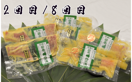 ザ・寺田屋!西京漬け厳選ｾｯﾄ(12ヶ月連続)  定期便