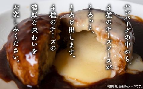 極み焼きハンバーグ（4種のチーズソース）セット定期便6か月 定期便