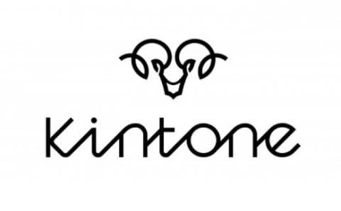 電動キックボード 公道 走行可能 KINTONE Model One S 増量バッテリーモデル(ブラック） 黒 免許不要 おりたたみ 特定小型原付