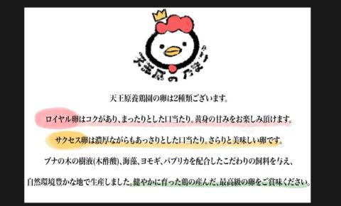 【天王原のたまご】サクセス卵50個/ロイヤル卵50個