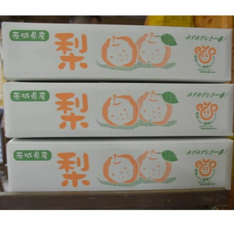 【先行予約】小林果樹園の梨 王秋 5～8玉 約3kg｜おうしゅう 朝どり みずみずしい 梨 なし ナシ フルーツ 果物 常総市