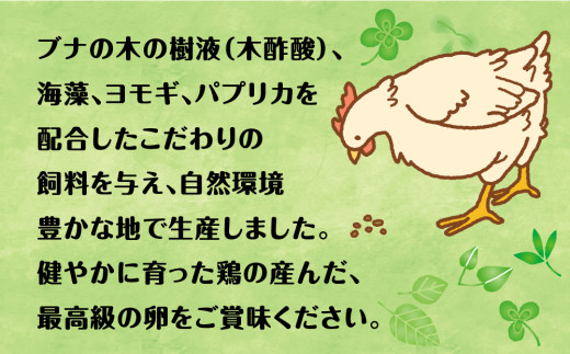 【定期便】5回定期 【天王原のたまご】 サクセス卵50個/ロイヤル卵50個【定期便 5回定期便 セット たまご 卵 玉子 タマゴ 濃厚 ハリ 弾力 ボリューム 甘味 旨味 卵黄 風味 生 コク 甘味 卵かけご飯 卵焼き 目玉焼き オムレツ 茶碗蒸し お菓子作り パンの材料】