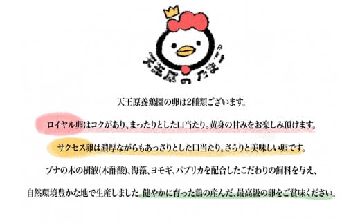 【定期便】8回定期 【天王原のたまご】 ロイヤル卵 30個入り 定期便 たまご 卵