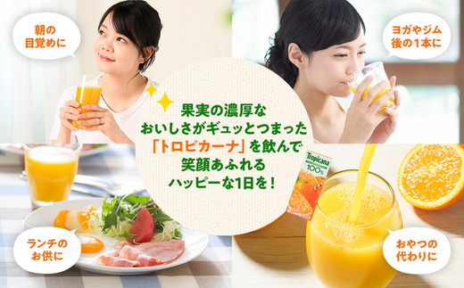 【定期便2ヶ月】トロピカーナ 100％ アップル 250ml LLスリム×24本 ※離島への配送不可