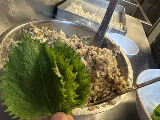 【定期便3ヶ月】餃子専門店青春餃子　大葉三太郎餃子15個入り×3パック（計135個）