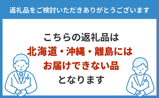 天然水晶　大ぶりピアス　※北海道・沖縄・離島への配送不可